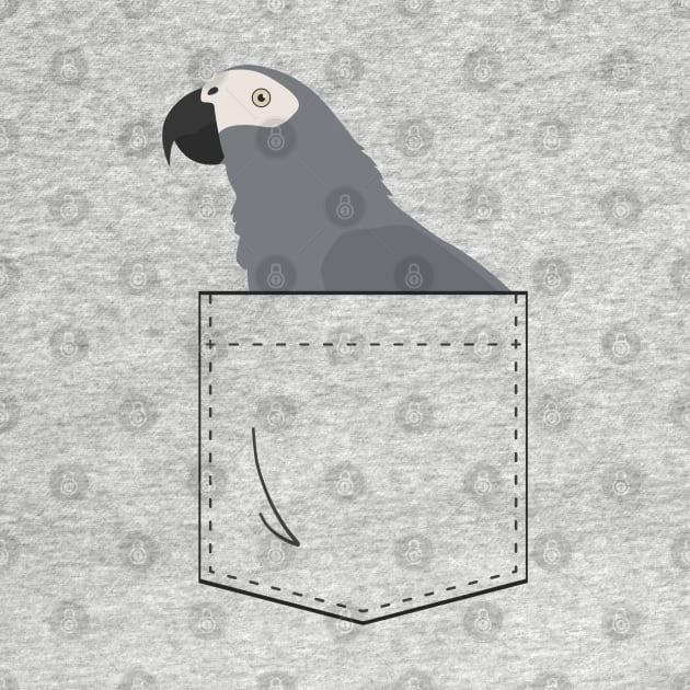 African Grey Parrot In Your Front Pocket by Einstein Parrot